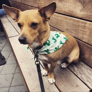 Meet your Posher, Haley